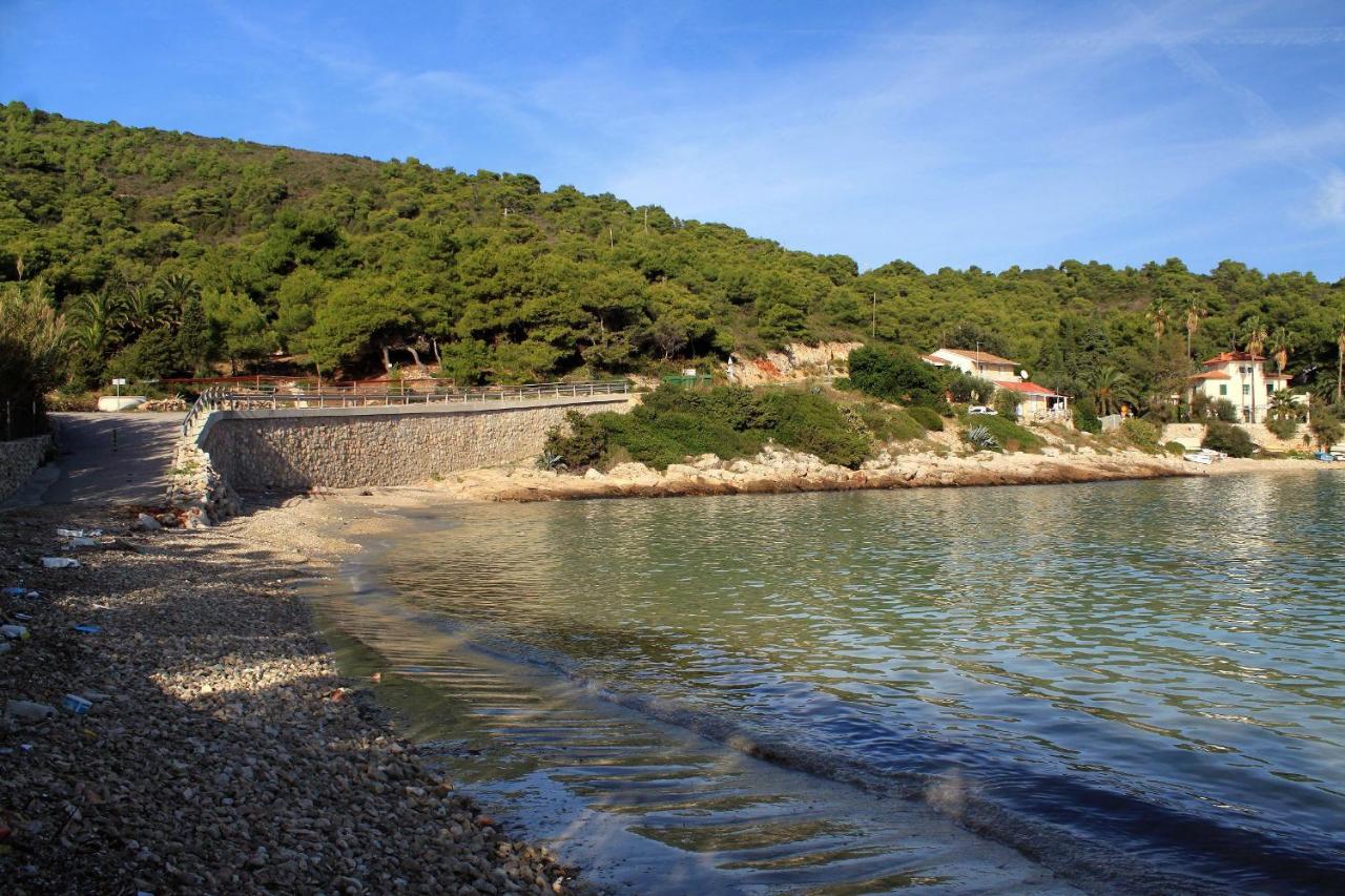 Apartments By The Sea Milna, Vis - 8895 Rukavac  Extérieur photo